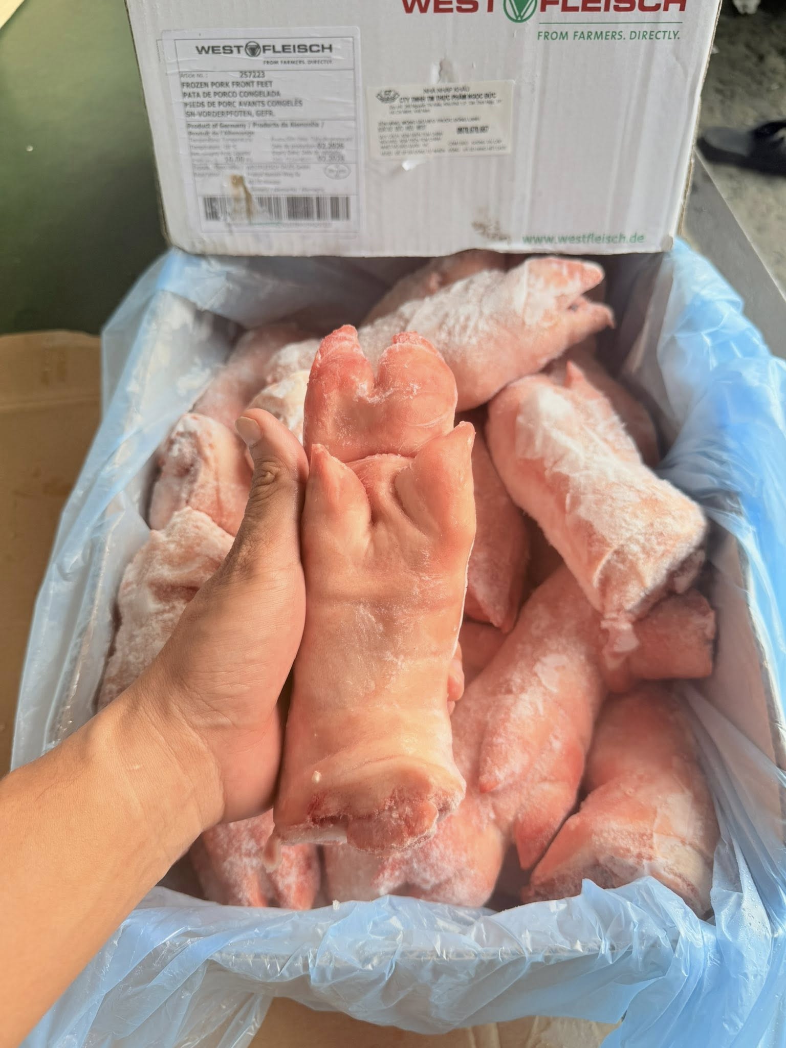 Dựng Trước Heo West 206 Đông Lạnh Nhập Khẩu
