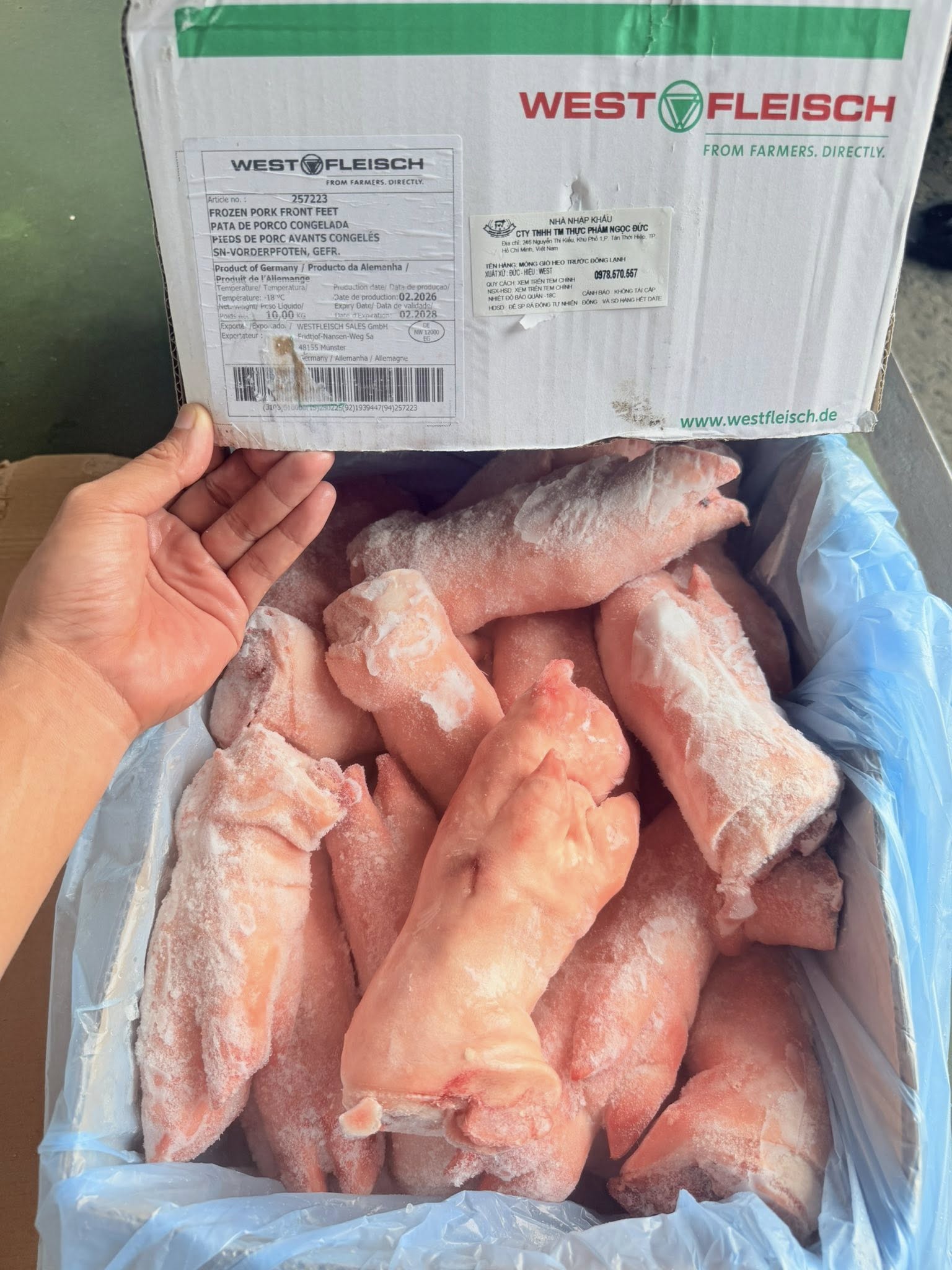 Dựng Trước Heo West 206 Giá Sỉ Toàn Quốc