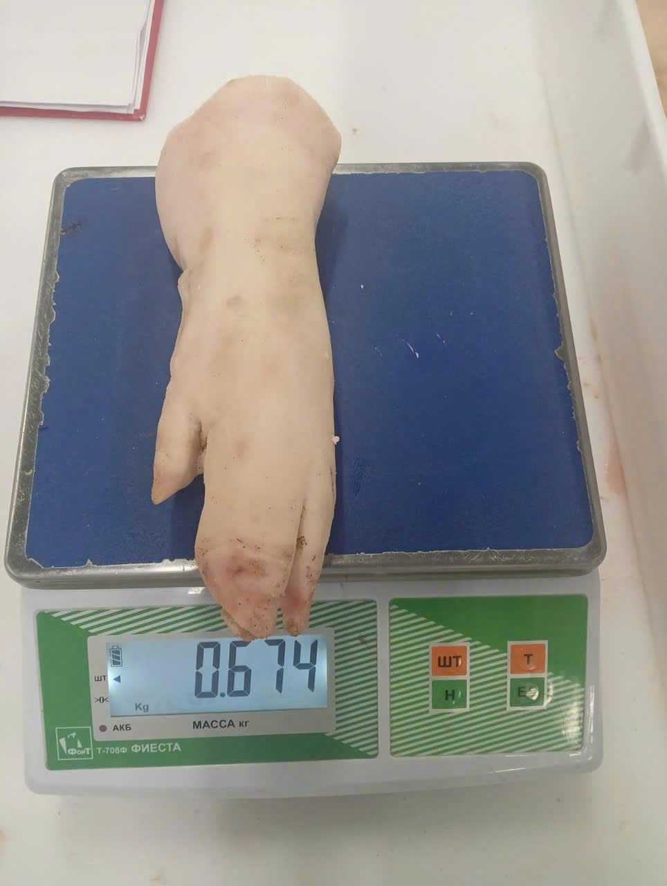 Dựng Trước Heo Agroeco Giá Sỉ Toàn Quốc