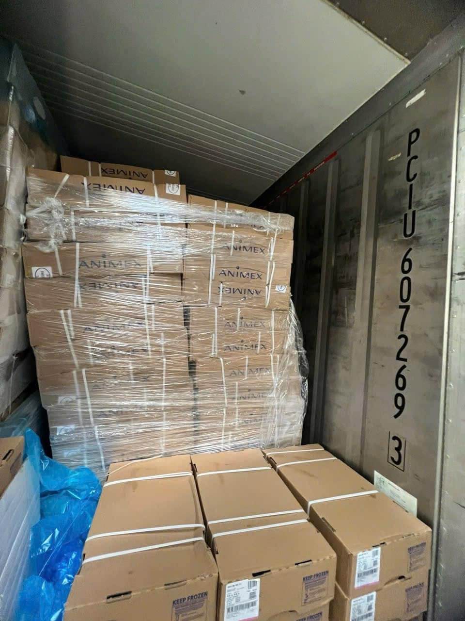 Dựng Trước Heo Animex Giá Sỉ Toàn Quốc