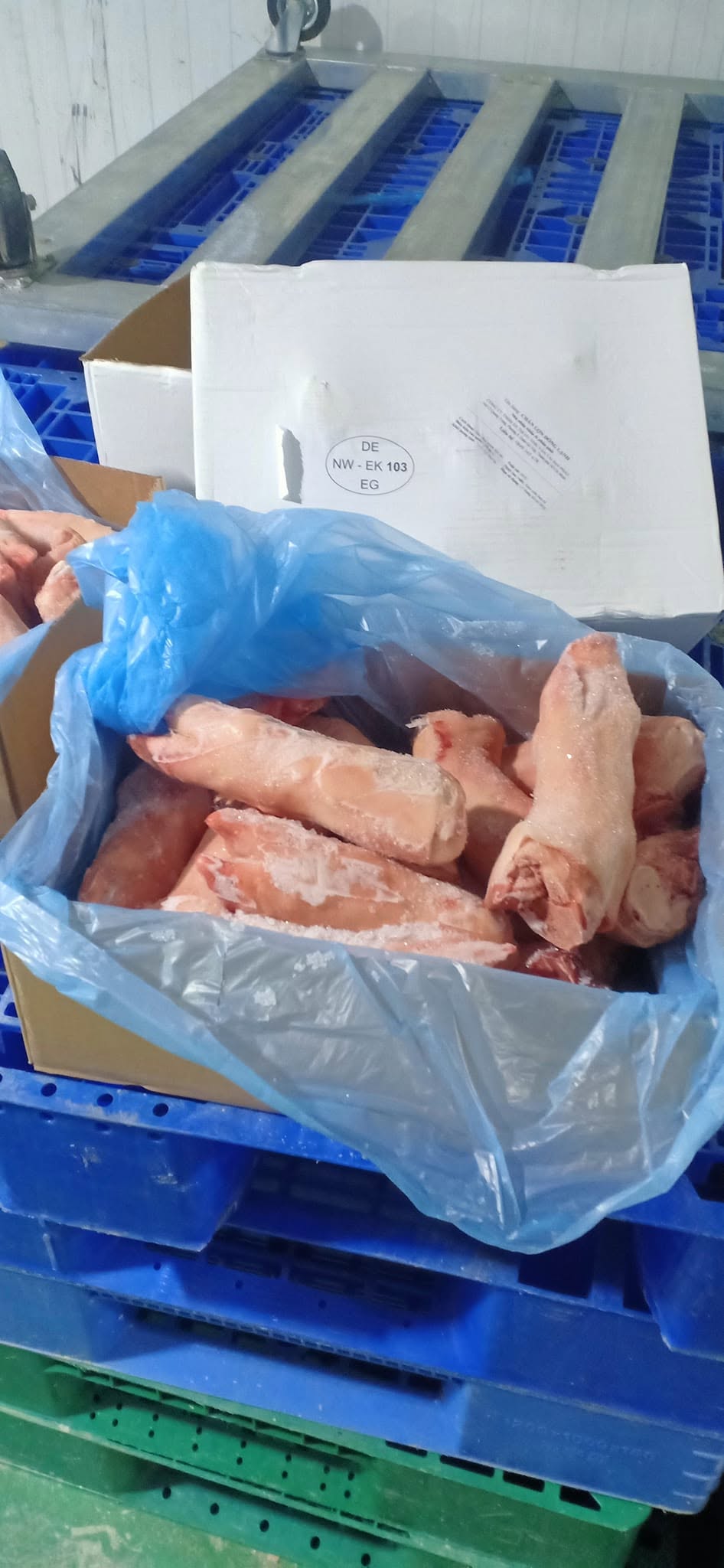 Dựng Trước Heo Agro Đông Lạnh Nhập Khẩu