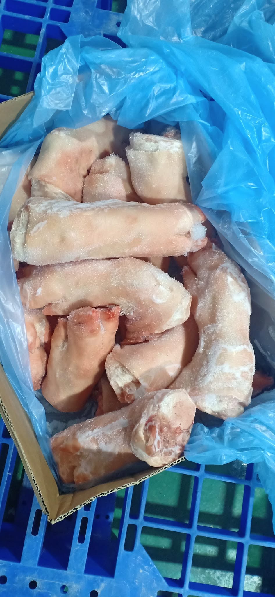 Dựng Trước Heo Agro Giá Sỉ Toàn Quốc