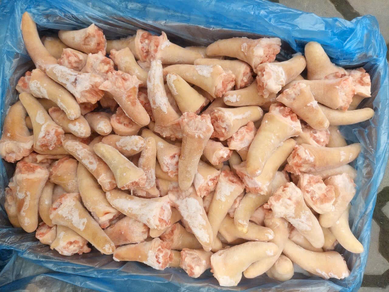 Đuôi Heo Agroeco Nhập Khẩu Chất Lượng Cao Giá Sỉ Toàn Quốc