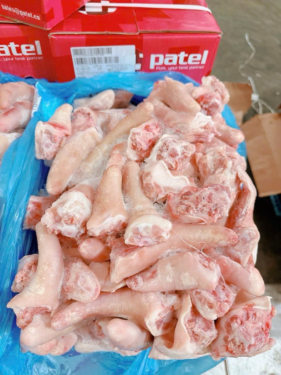 Đuôi Heo Pantel Nhập Khẩu Chất Lượng Cao Giá Tốt Toàn Quốc