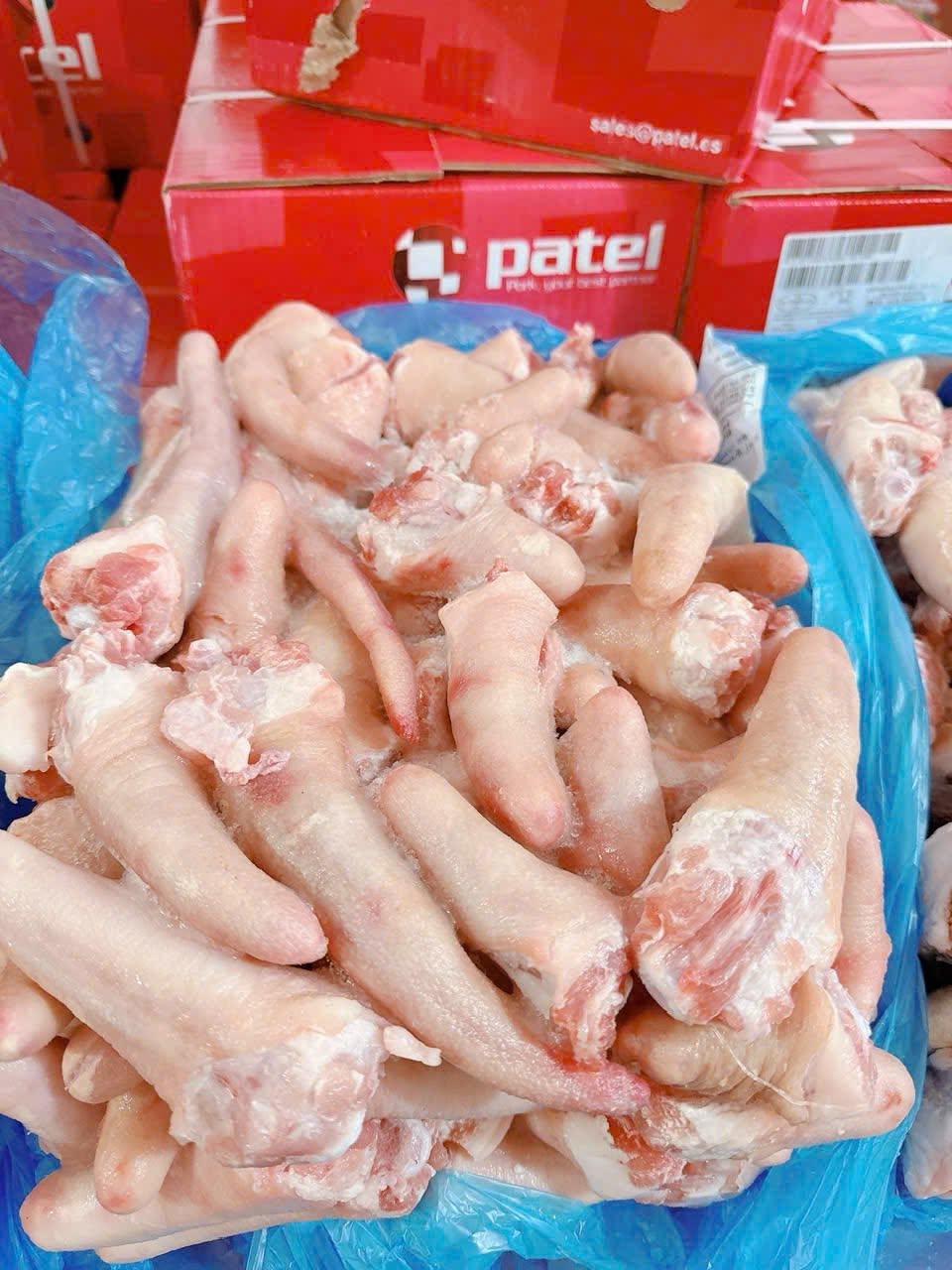 Đuôi Heo Pantel Đông Lạnh Nhập Khẩu