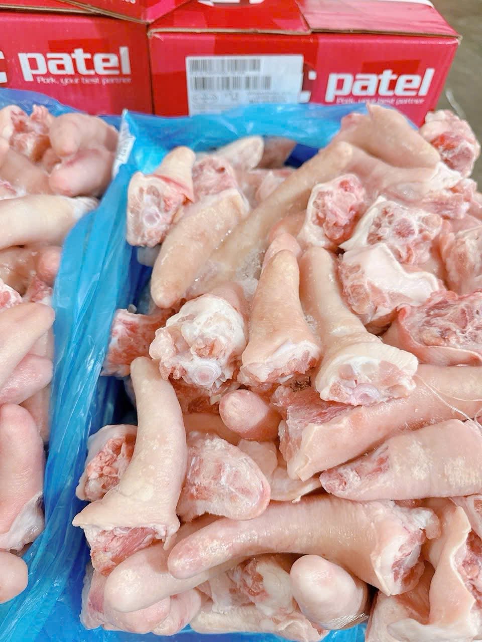 Đuôi Heo Pantel Giá Sỉ Toàn Quốc