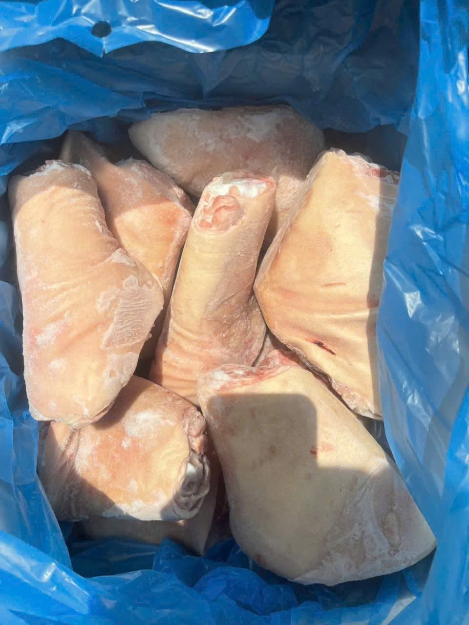 Khoanh Bắp Trước Heo Boseler Đông Lạnh Nhập Khẩu
