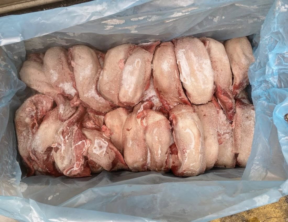 Lưỡi Heo Không Cuống West Nhập Khẩu Chất Lượng Cao Giá Tốt