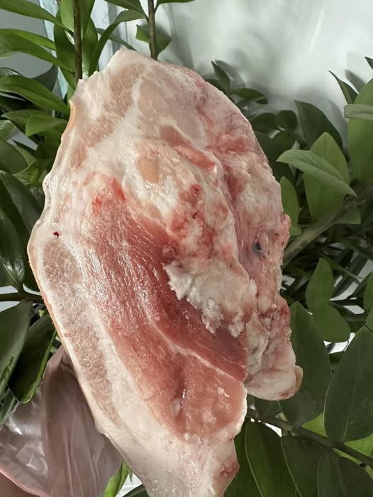 Má Heo Không Da APK Nhập Khẩu Chất Lượng Cao Giá Tốt