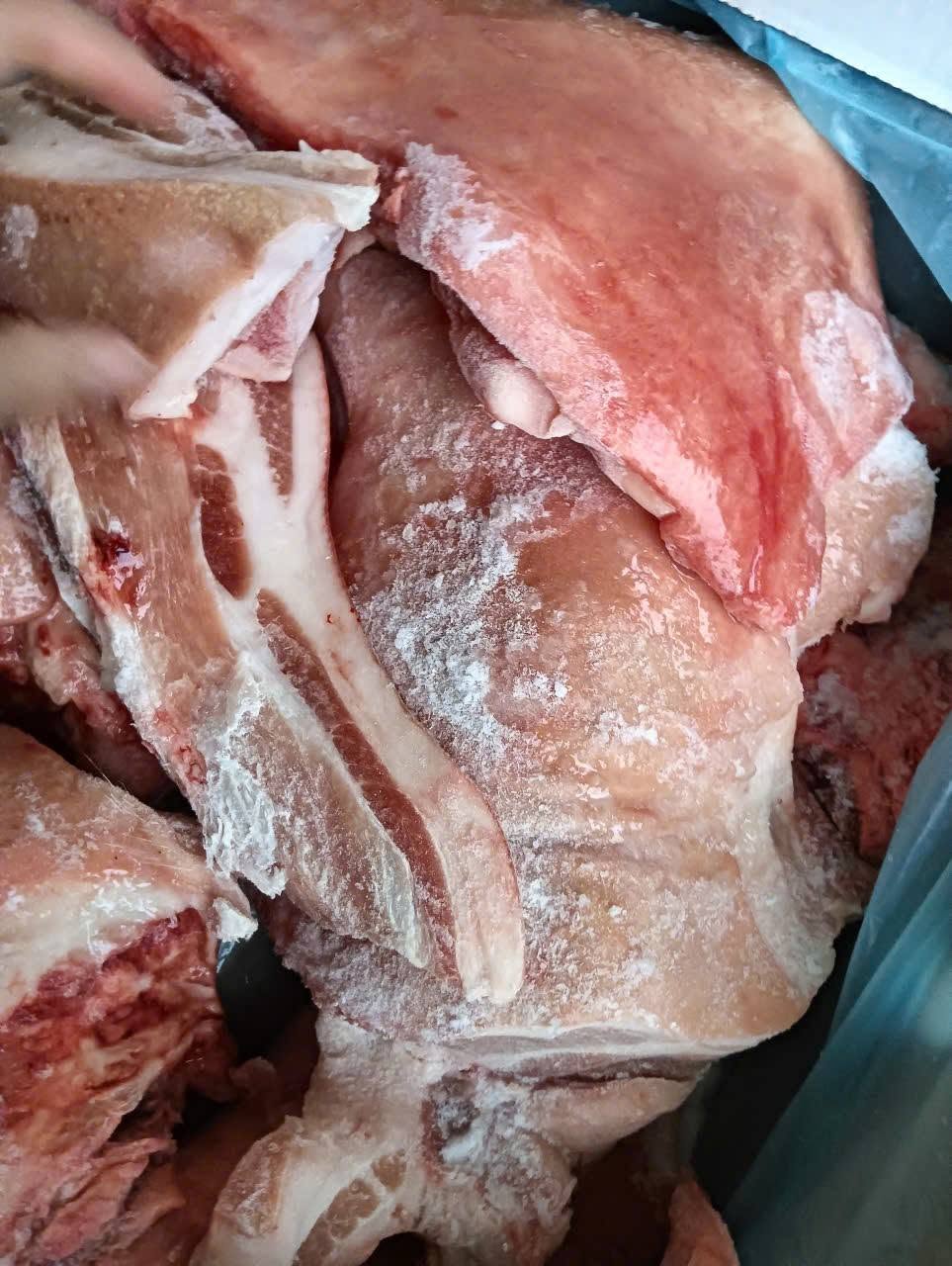 Má Heo Có Da Toni Giá Sỉ Toàn Quốc