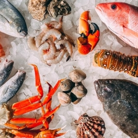 Kho Thịt Bò, Thịt Gà, Thịt Heo, Hải Sản Đông Lạnh tại Phường Hải Dương, Thành phố Hải Phòng