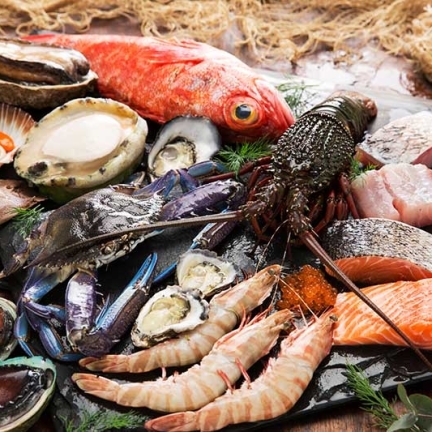 Tổng Kho Thịt Bò, Thịt Gà, Thịt Heo, Hải Sản Đông Lạnh Nhập Khẩu tại Xã Bằng Luân, Tỉnh Phú Thọ