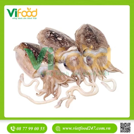 Mực nang tươi 2-3 con/kg