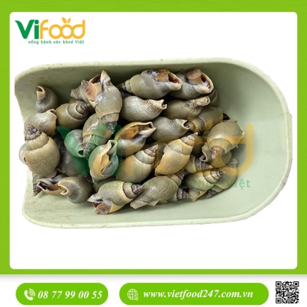 Ốc Cà Na