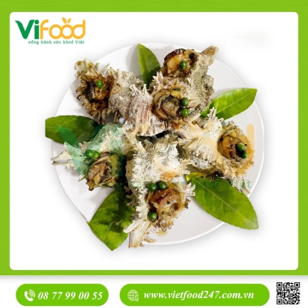 Ốc gai sư tử