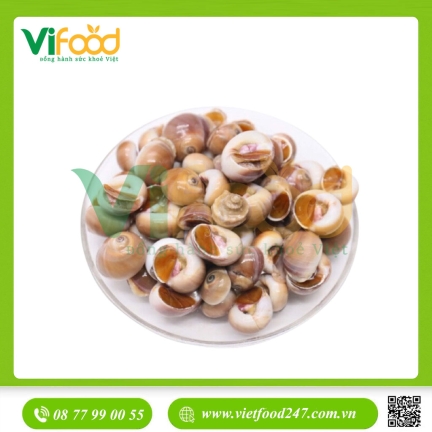 Ốc Mỡ Tươi Sống