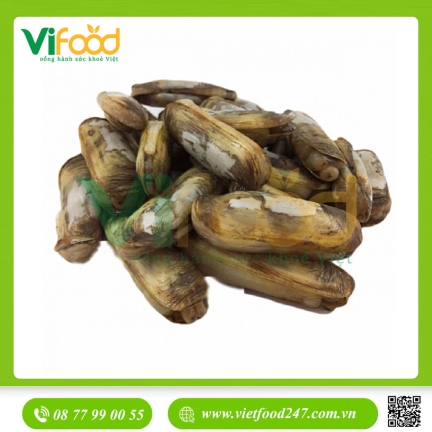 Ốc Móng Tay