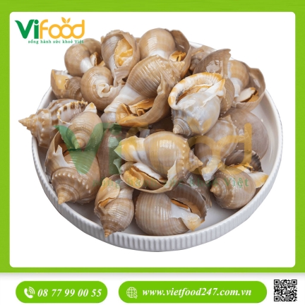 Ốc Tỏi Sống