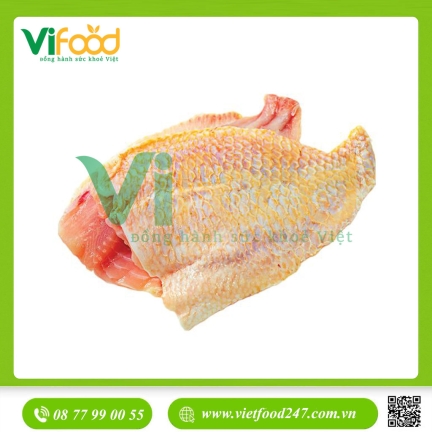 Phi lê cá diêu hồng