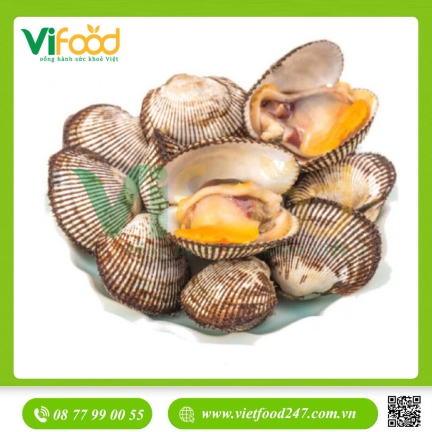 Sò Lông Tươi Sống