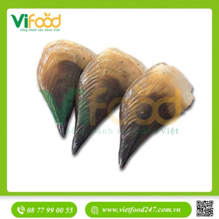 Sò Mai Tươi Sống