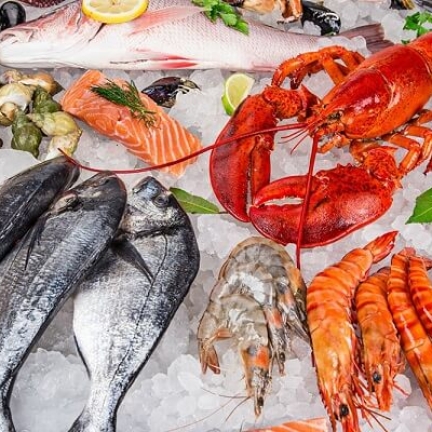 VIFOOD - Thịt Bò, Thịt Gà, Thịt Heo, Hải Sản Đông Lạnh tại Xã Long Cốc, Tỉnh Phú Thọ