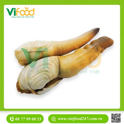 Tu Hài Tươi Sống