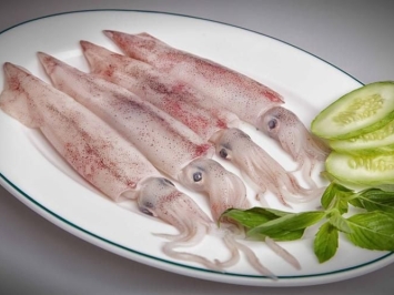 Mực Ống Tươi VIFOOD – Lựa Chọn Hàng Đầu Của Mọi Nhà Tại TP.HCM
