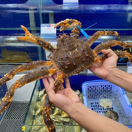 Chuyên cung cấp thịt bò, thịt gà, thịt heo, hải sản đông lạnh nhập khẩu tại xã Phan Thanh, tỉnh Cao Bằng