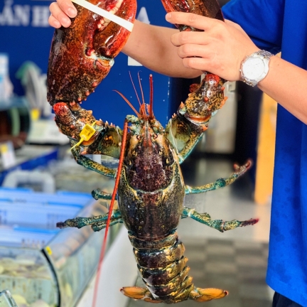 Tổng Kho Thịt Bò, Thịt Gà, Thịt Heo, Hải Sản Đông Lạnh tại Phường Bồng Lai, Tỉnh Bắc Ninh