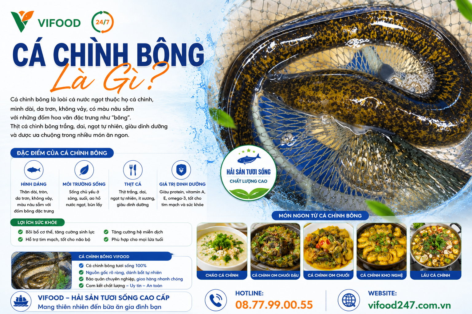 Cá chình bông tươi sống VIFOOD