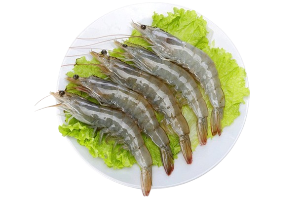 Địa Chỉ Bán Sỉ Tôm Thẻ, Tôm Sú, Tôm Càng Xanh  Xã Phú Giáo