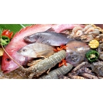 Tổng Kho Thực Phẩm Đông Lạnh tại Xã Chợ Mới, Tỉnh Thái Nguyên