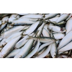 Siêu Thị Thịt Bò, Thịt Gà, Thịt Heo & Hải Sản Đông Lạnh nhập khẩu tại Xã Tân Lĩnh, Tỉnh Lào Cai