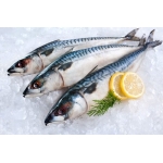 Tổng Kho Thịt Bò, Thịt Gà, Thịt Heo, Hải Sản Đông Lạnh nhập khẩu tại xã Tân Long, tỉnh Tuyên Quang