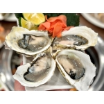 Chuyên Sỉ Thịt Bò, Thịt Gà, Thịt Heo, Hải Sản Đông Lạnh nhập khẩu tại xã Mường Pồn, tỉnh Điện Biên