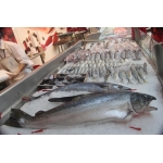 Cửa Hàng Sỉ Lẻ Thịt Bò, Thịt Gà, Thịt Heo, Hải Sản Đông Lạnh tại Xã Thành Công, Tỉnh Thái Nguyên