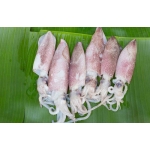 Tổng Kho Thịt Bò, Thịt Gà, Thịt Heo, Hải Sản Đông Lạnh tại Phường Âu Cơ, Tỉnh Phú Thọ