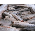 Tổng Kho Thịt Bò, Thịt Gà, Thịt Heo, Hải Sản Đông Lạnh Nhập Khẩu tại Xã Tân Uyên, tỉnh Lai Châu