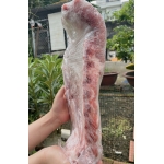 Tổng Kho Thịt Heo Đông Lạnh Nghệ An