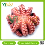  Bạch tuộc Sashimi đông lạnh