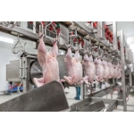 VIFOOD - Thịt Bò, Thịt Gà, Thịt Heo, Hải Sản Đông Lạnh tại Xã Hùng Việt, Tỉnh Phú Thọ