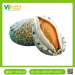 Bào Ngư Úc Ngọc Bích Sống