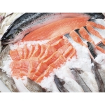 Thịt Bò, Thịt Gà, Thịt Heo, Hải Sản Đông Lạnh tại Phường Kỳ Lừa, Tỉnh Lạng Sơn