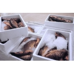 VIFOOD – Tổng Kho Thịt Bò, Thịt Gà, Thịt Heo, Hải Sản Đông Lạnh tại Xã Liên Châu, Tỉnh Phú Thọ