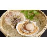 Tổng Kho Thịt Bò, Thịt Gà, Thịt Heo, Hải Sản Đông Lạnh tại Xã Xím Vàng, tỉnh Sơn La