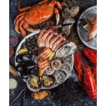 VIFOOD - Tổng Kho Thịt Bò, Thịt Gà, Thịt Heo, Hải Sản Đông Lạnh tại Xã Tiền Phong, Tỉnh Phú Thọ