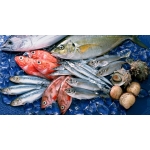 VIFOOD – Kho Thịt Bò, Thịt Gà, Thịt Heo, Hải Sản Đông Lạnh tại Xã Mường Ảng, tỉnh Điện Biên