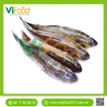 Cá bống cát tươi sống