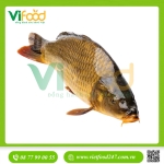 Cá chép giòn